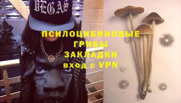 ECSTASY Вязьма