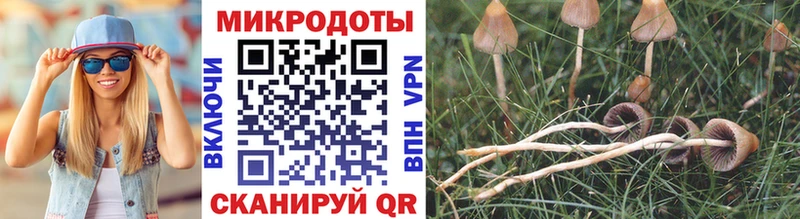 купить закладку  Нижневартовск  Псилоцибиновые грибы Cubensis 